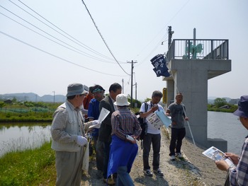 2012.5.27 大橋川を見て歩く