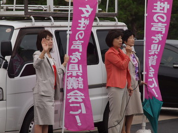 2014.7.4　初めて県議会の女性議員だけで街頭に